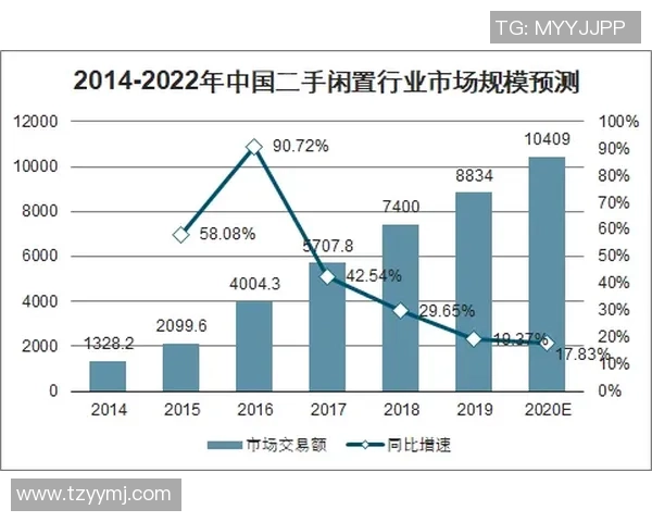 北京极限运动队攻防分析与未来发展展望