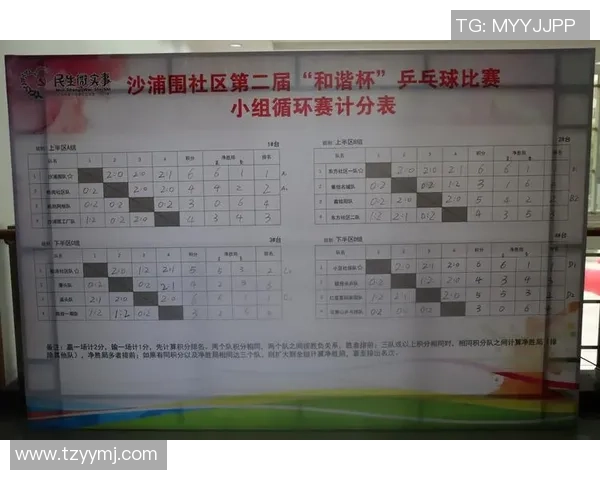 吴丽独家分享乒乓球技巧与心得助你提升球技的全方位指南