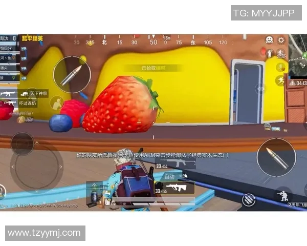 赵娜畅谈和平精英成长之路与未来发展展望