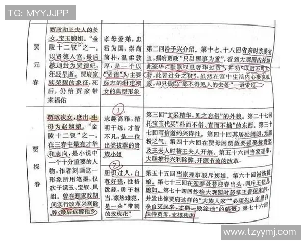 杭州足球队在挑战赛中的技术表现分析与点评探讨
